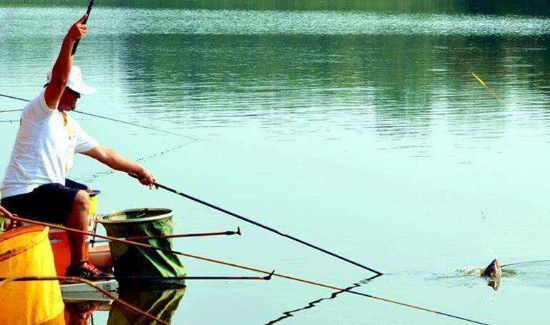 秋季钓鲤鱼的方法