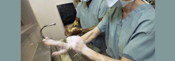 洗手指征两前三后