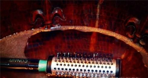 怎么样清理卷梳