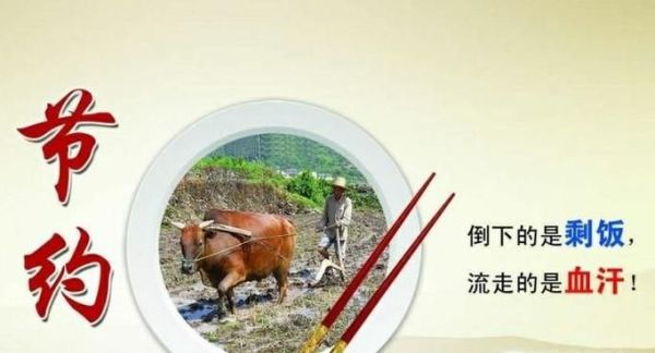 光盘行动有哪些精神意义？