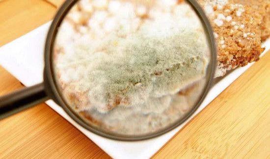 面粉发霉后会产生黄曲霉素吗