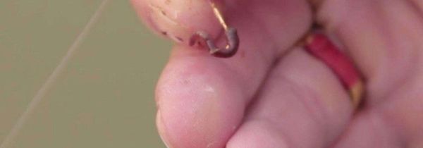 蚯蚓饵料怎么挂钩