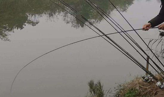 适合新手的台钓竿