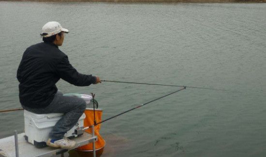 自然水域蚯蚓饵如何调钓