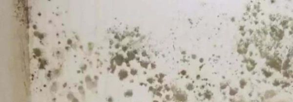 墙面掉漆可以贴墙纸吗