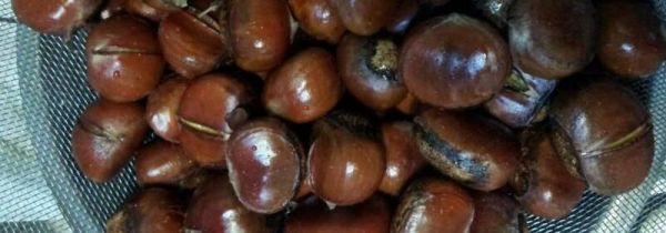 电烤箱烤板栗怎么烤