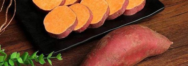 红薯如何保存一年