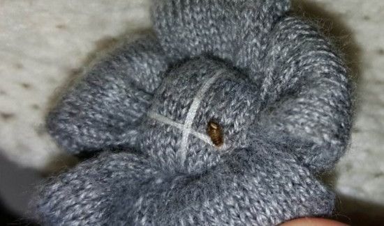 衣服被虫子蛀怎么处理