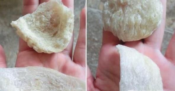 选购燕窝有什么需要注意的地方？