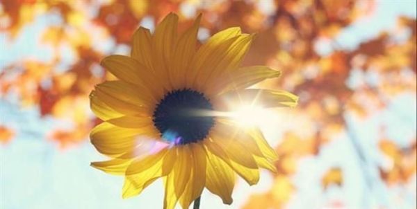 幸福是什么？？？