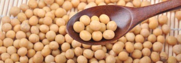 纳豆和黄豆的区别