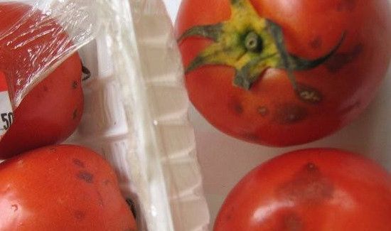 番茄发霉了切掉发霉的部分还能吃吗