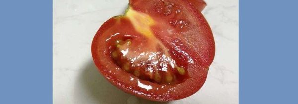 番茄发霉了切掉发霉的部分还能吃吗