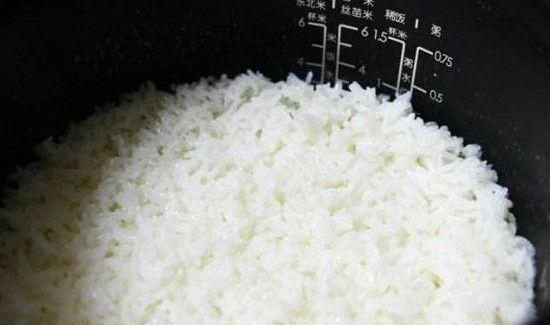 电饭锅焖米饭用多少米多少水