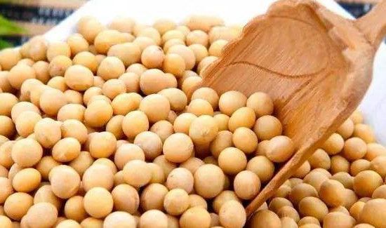 黄豆放了三年还能吃吗