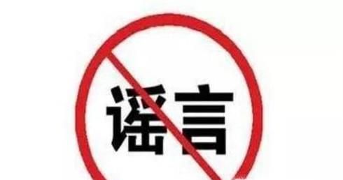 肉松里真的有棉花吗?