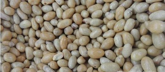 二月二的来历是什么