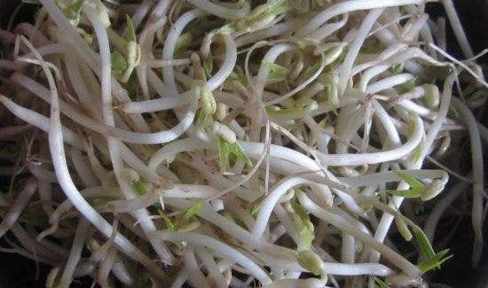 羽绒服受潮发霉有黑点