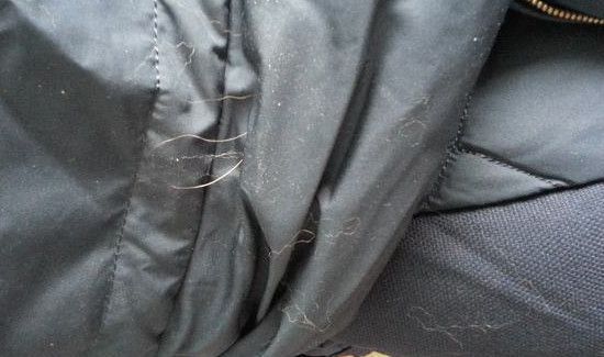羽绒服从针眼钻毛妙招