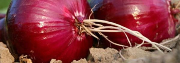 家庭消毒小妙招