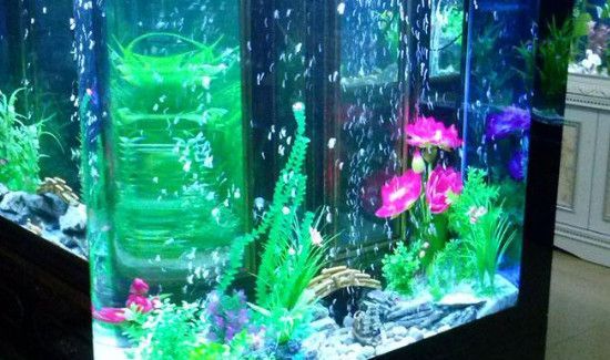 怎么让室内保持湿润