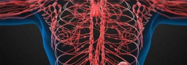 人体三大供能系统特点