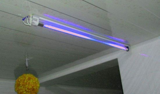 房间杀菌的正确方法