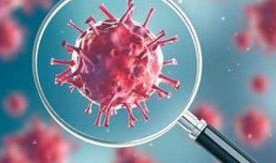 疫情最新消息怎么查询