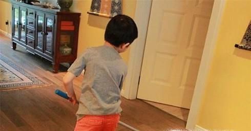 家里狗尿味怎么去除 狗尿过的地方怎么除味