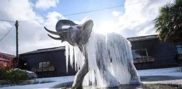 冰岛首都池塘凝结是怎么回事