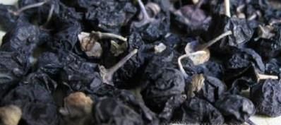 如何辨别黑枸杞是野生还是种植？