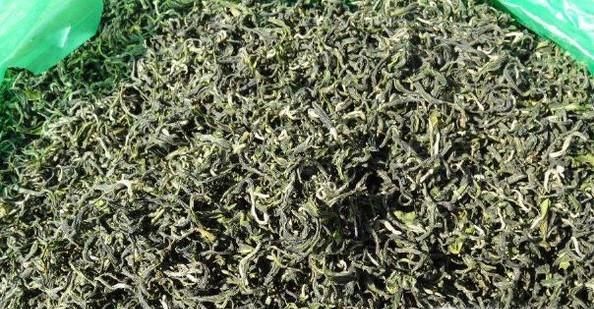 喝茶剩下的茶叶渣有什么妙用？