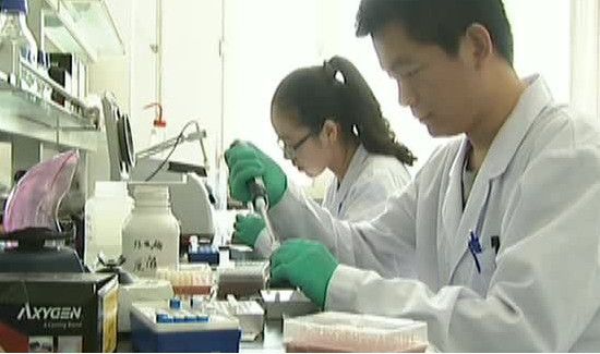 怎么辨别新型冠状病毒