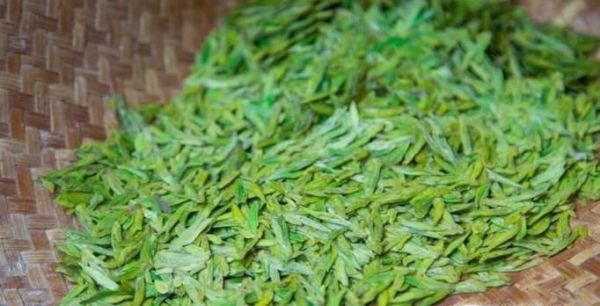 龙井茶有哪些品种? 哪个品种好?