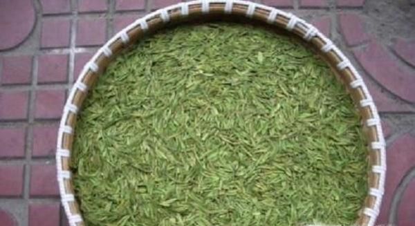 龙井明前新茶和雨前新茶有什么区别? 哪个好?