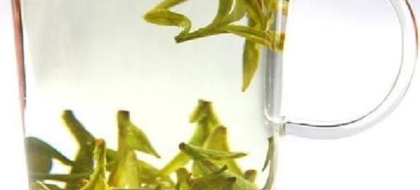 龙井明前新茶和雨前新茶有什么区别? 哪个好?