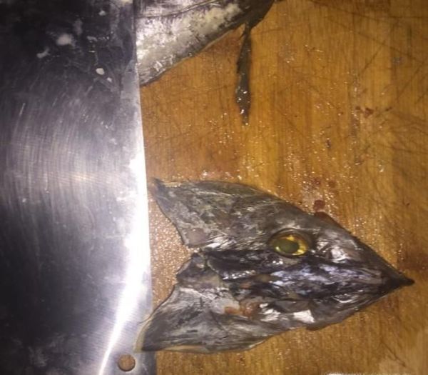 如何处理带鱼好?