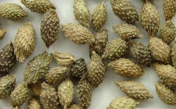 教你4个小方法治疗鼻炎