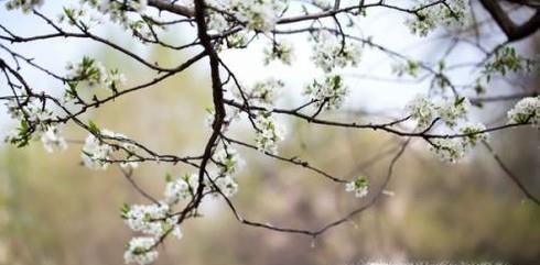 立春后天气还会冷吗