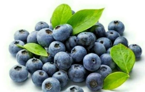 孩子视力差吃什么水果