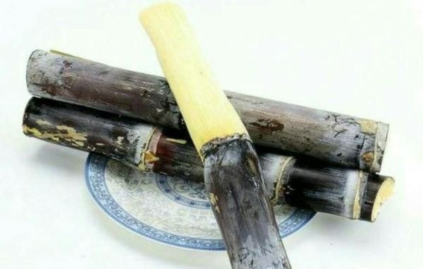 孩子视力差吃什么水果