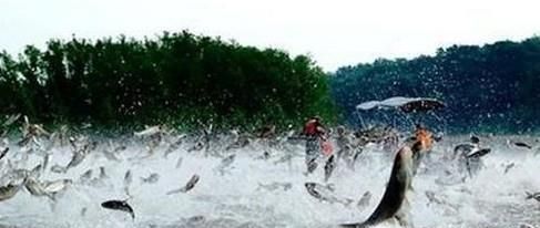 境外生物非法入境将带来哪些危害？