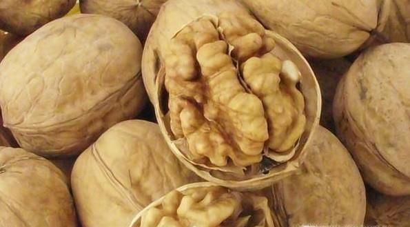 核桃的主要产地是哪里