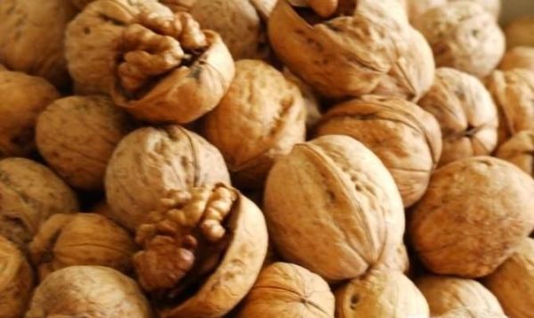 核桃的主要产地是哪里