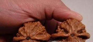 核桃的种类有多少