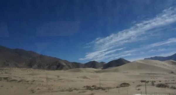 21世纪物种灭绝增速的原因是什么