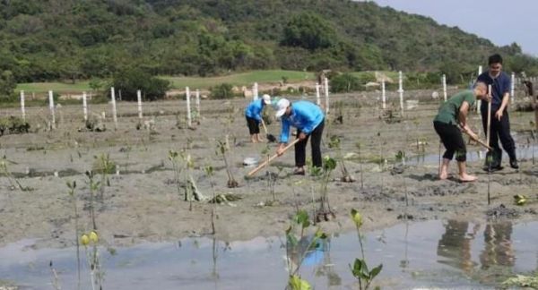 海洋垃圾的主要来源有哪些