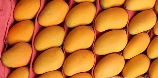 如何挑选芒果？吃芒果有哪些禁忌？