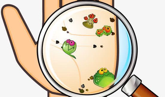 细菌怎么那么难杀死