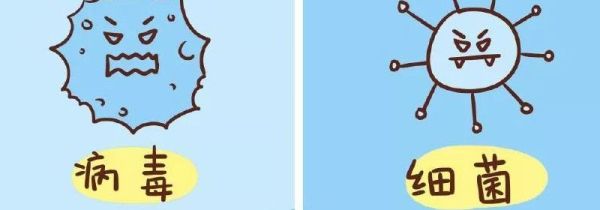 细菌和病毒的区别